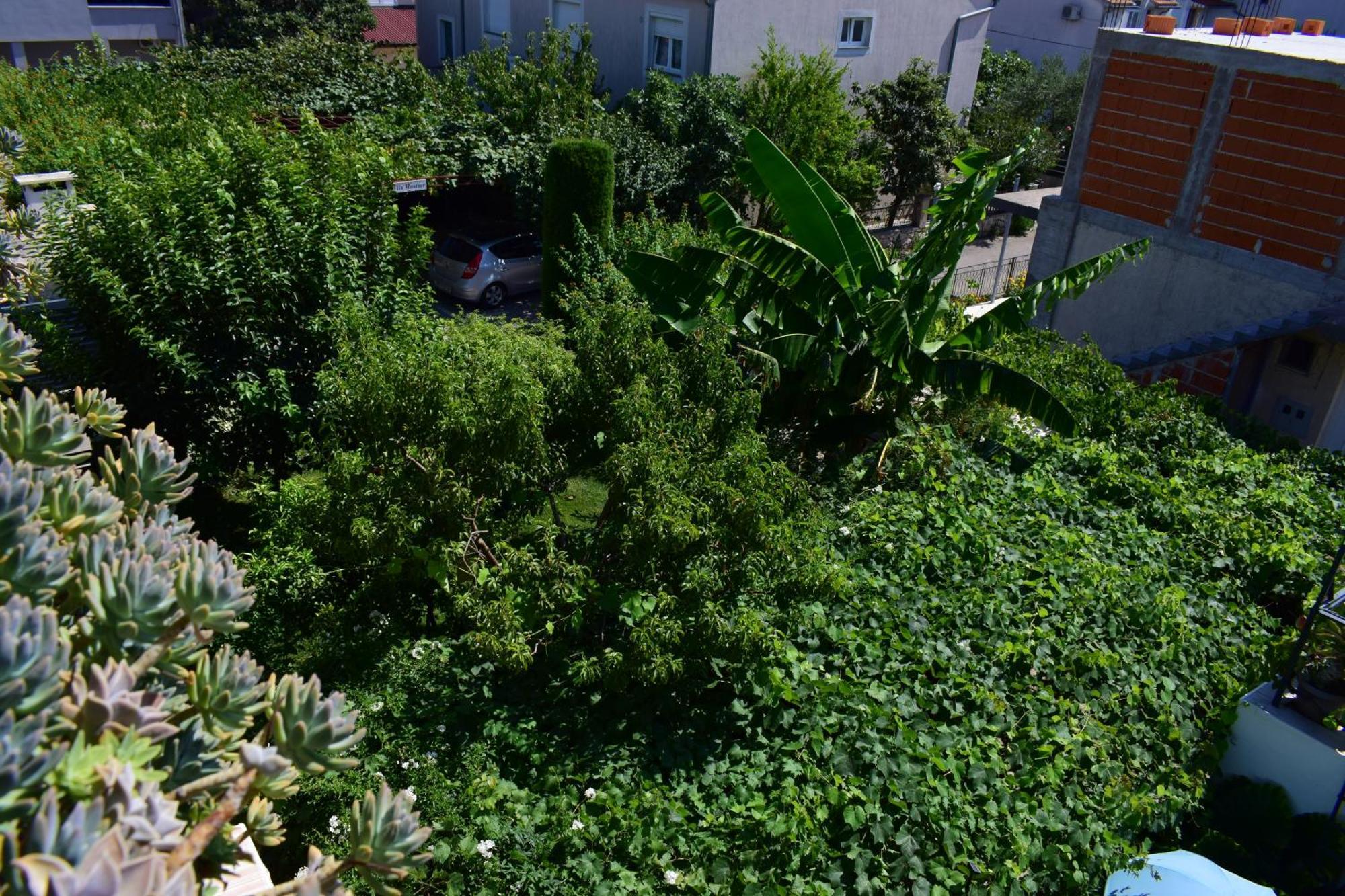 Rooms Vila Mautner Vodice Buitenkant foto